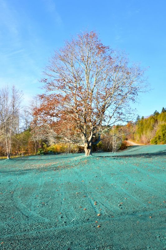 spade hydroseeding